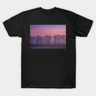 On Chelsworth Common T-Shirt